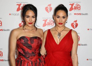 August 2nd 2020 - Brie Bella and Nikki Bella have both given birth one day apart. The Bella Twins - professional wrestlers and WWE Diva Champions - each gave birth to a baby boy. Brie welcomed her second child with husband Daniel Bryan on August 1st while Nikki welcomed her first child on July 31st with fiance Artem Chigvintsev. - January 29th 2020 - Brie Bella and Nikki Bella have announced that they are both pregnant. The Bella Twins - professional wrestlers and WWE Diva Champions - are both due to give birth in late July or early August 2020. Brie is expecting her second child with husband Daniel Bryan while Nikki is expecting her first child with fiance Artem Chigvintsev. - File Photo by: zz/John Nacion/STAR MAX/IPx 2019 2/7/19 Brie Bella and Nikki Bella at The American Heart Association's Go Red For Women Red Dress Collection Fashion Show during New York Fashion Week in New York City. (NYC)